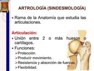 Artrología (sindesmología):
Parte de la anatomía que estudia las
articulaciones.
 Kinesiología:
Estudia los movimientos del cuerpo
humano.
 