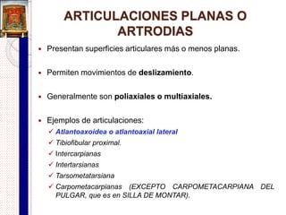 Sínfisis de la
mandíbula
Articulaciones cartilaginosas secundarias
o sínfisis
 