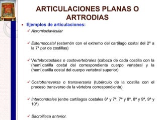 ARTICULACIONES
SINOVIALES
 