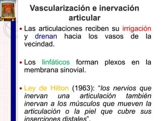 Vainas tendinosas (sinoviales)
 