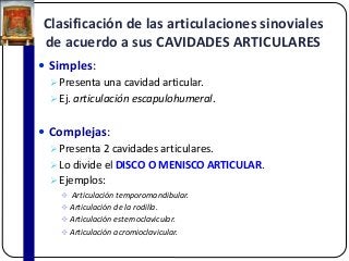 Clasificación de las articulaciones sinoviales
de acuerdo a sus CAVIDADES ARTICULARES
 Simples:
Presenta una cavidad articular.
Ej. articulación escapulohumeral.
 Complejas:
Presenta 2 cavidades articulares.
Lo divide el DISCO O MENISCO ARTICULAR.
Ejemplos:
 Articulación temporomandibular.
 Articulación de la rodilla.
 Articulación esternoclavicular.
 Articulación acromioclavicular.
 