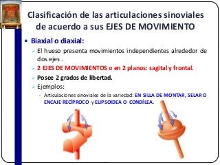 Clasificación de las articulaciones sinoviales
de acuerdo a sus EJES DE MOVIMIENTO
 Biaxial o diaxial:
 El hueso presenta movimientos independientes alrededor de
dos ejes .
 2 EJES DE MOVIMIENTOS o en 2 planos: sagital y frontal.
 Posee 2 grados de libertad.
 Ejemplos:
 Articulaciones sinoviales de la variedad: EN SILLA DE MONTAR, SELAR O
ENCAJE RECÍPROCO y ELIPSOIDEA O CONDÍLEA.
 