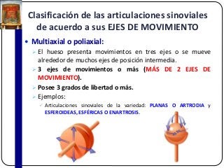 Clasificación de las articulaciones sinoviales
de acuerdo a sus EJES DE MOVIMIENTO
 Multiaxial o poliaxial:
 El hueso presenta movimientos en tres ejes o se mueve
alrededor de muchos ejes de posición intermedia.
 3 ejes de movimientos o más (MÁS DE 2 EJES DE
MOVIMIENTO).
 Posee 3 grados de libertad o más.
 Ejemplos:
 Articulaciones sinoviales de la variedad: PLANAS O ARTRODIA y
ESFEROIDEAS, ESFÉRICAS O ENARTROSIS.
 