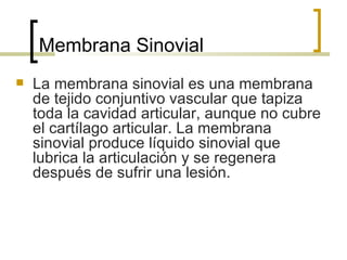 Membrana Sinovial
   La membrana sinovial es una membrana
    de tejido conjuntivo vascular que tapiza
    toda la cavidad articular, aunque no cubre
    el cartílago articular. La membrana
    sinovial produce líquido sinovial que
    lubrica la articulación y se regenera
    después de sufrir una lesión.
 