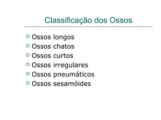 Classificação dos Ossos
   Ossos   longos
   Ossos   chatos
   Ossos   curtos
   Ossos   irregulares
   Ossos   pneumáticos
   Ossos   sesamóides
 
