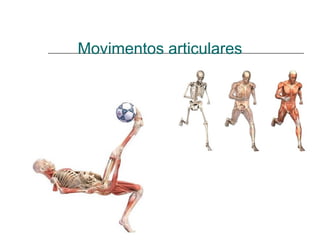 Movimentos articulares
 