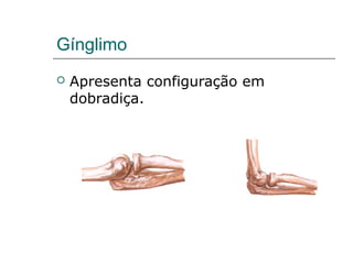 Gínglimo
   Apresenta configuração em
    dobradiça.
 