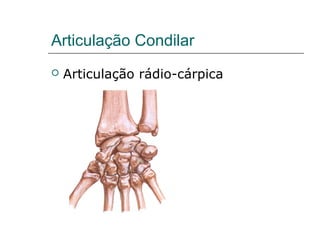 Articulação Condilar
   Articulação rádio-cárpica
 