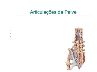 Articulações da Pelve

Ligamentos dispostos em quatro grupos:
•Articulação sacro-ilíaca
•Ligamentos entre o sacro e o ísquio
•Juntura sacro-coccígea
•Sínfise Púbica
 