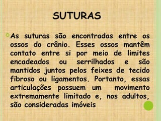 SUTURAS
As suturas são encontradas entre os
ossos do crânio. Esses ossos mantêm
contato entre si por meio de limites
encadeados ou serrilhados e são
mantidos juntos pelos feixes de tecido
fibroso ou ligamentos. Portanto, essas
articulações possuem um movimento
extremamente limitado e, nos adultos,
são consideradas imóveis
 