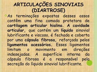 ARTICULAÇÕES SINOVIAIS
(DIARTROSE)
As terminações expostas desses ossos
contêm uma fina camada protetora de
cartilagem articular hialina. A cavidade
articular, que contém um líquido sinovial
lubrificante e viscoso, é fechada e coberta
por uma cápsula fibrosa, reforçada pelos
ligamentos acessórios. Esses ligamentos
limitam o movimento em direções
indesejadas. A superfície interna da
cápsula fibrosa é a responsável pela
secreção do líquido sinovial lubrificante.
 