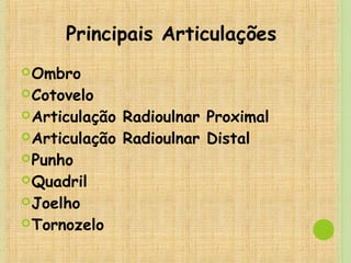 Principais Articulações
Ombro
Cotovelo
Articulação Radioulnar Proximal
Articulação Radioulnar Distal
Punho
Quadril
Joelho
Tornozelo
 