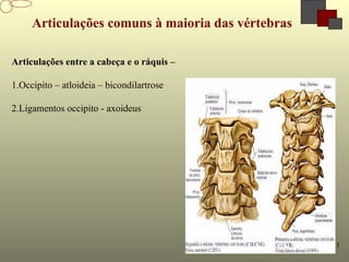 8-11
Articulações comuns à maioria das vértebras
Articulações entre a cabeça e o ráquis –
1.Occipito – atloideia – bicondilartrose
2.Ligamentos occipito - axoideus
 