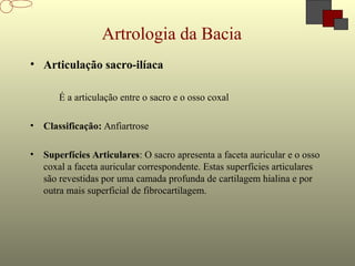Artrologia da Bacia
• Articulação sacro-ilíaca
É a articulação entre o sacro e o osso coxal
• Classificação: Anfiartrose
• Superfícies Articulares: O sacro apresenta a faceta auricular e o osso
coxal a faceta auricular correspondente. Estas superfícies articulares
são revestidas por uma camada profunda de cartilagem hialina e por
outra mais superficial de fibrocartilagem.
 