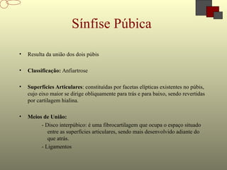 • Resulta da união dos dois púbis
• Classificação: Anfiartrose
• Superfícies Articulares: constituídas por facetas elípticas existentes no púbis,
cujo eixo maior se dirige obliquamente para trás e para baixo, sendo revertidas
por cartilagem hialina.
• Meios de União:
- Disco interpúbico: é uma fibrocartilagem que ocupa o espaço situado
entre as superfícies articulares, sendo mais desenvolvido adiante do
que atrás.
- Ligamentos
Sínfise Púbica
 