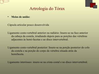 • Meios de união:
Cápsula articular pouco desenvolvida
Ligamento costo-vertebral anterior ou radiário: Insere-se na face anterior
da cabeça da costela, irradiando depois para as porções das vértebras
adjacentes às hemi-facetas e ao disco intervertebral.
Ligamento costo-vertebral posterior: Insere-se na porção posterior do colo
da costela e na porção do corpo da vértebra situada atrás da
hemifaceta.
Ligamento interósseo: insere-se na crista costal e no disco intervertebral.
Artrologia do Tórax
 