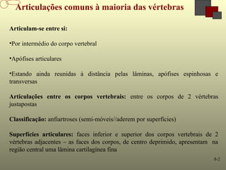 8-2
Articulações comuns à maioria das vértebras
Articulam-se entre si:
•Por intermédio do corpo vertebral
•Apófises articulares
•Estando ainda reunidas à distância pelas lâminas, apófises espinhosas e
transversas
Articulações entre os corpos vertebrais: entre os corpos de 2 vértebras
justapostas
Classificação: anfiartroses (semi-móveis//aderem por superfícies)
Superfícies articulares: faces inferior e superior dos corpos vertebrais de 2
vértebras adjacentes – as faces dos corpos, de centro deprimido, apresentam na
região central uma lâmina cartilagínea fina
 