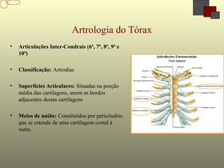 Artrologia do Tórax
• Articulações Inter-Condrais (6ª, 7ª, 8ª, 9ª e
10ª)
• Classificação: Artrodias
• Superfícies Articulares: Situadas na porção
média das cartilagens, unem os bordos
adjacentes destas cartilagens
• Meios de união: Constituídos por pericôndrio
que se estende de uma cartilagem costal à
outra.
 
