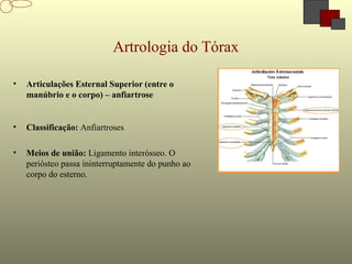 Artrologia do Tórax
• Articulações Esternal Superior (entre o
manúbrio e o corpo) – anfiartrose
• Classificação: Anfiartroses
• Meios de união: Ligamento interósseo. O
periósteo passa ininterruptamente do punho ao
corpo do esterno.
 