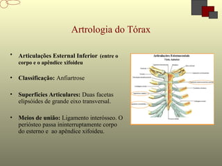 Artrologia do Tórax
• Articulações Esternal Inferior (entre o
corpo e o apêndice xifoideu
• Classificação: Anfiartrose
• Superfícies Articulares: Duas facetas
elipsóides de grande eixo transversal.
• Meios de união: Ligamento interósseo. O
periósteo passa ininterruptamente corpo
do esterno e ao apêndice xifoideu.
 