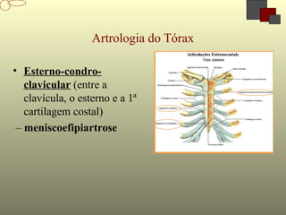 Artrologia do Tórax
• Esterno-condro-
clavicular (entre a
clavícula, o esterno e a 1ª
cartilagem costal)
– meniscoefipiartrose
 