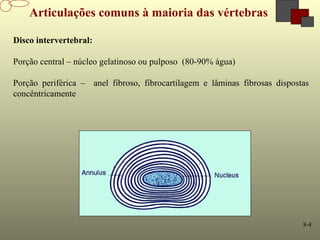 8-4
Articulações comuns à maioria das vértebras
Disco intervertebral:
Porção central – núcleo gelatinoso ou pulposo (80-90% água)
Porção periférica – anel fibroso, fibrocartilagem e lâminas fibrosas dispostas
concêntricamente
 