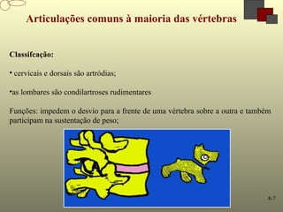 8-7
Articulações comuns à maioria das vértebras
Classifcação:
• cervicais e dorsais são artródias;
•as lombares são condilartroses rudimentares
Funções: impedem o desvio para a frente de uma vértebra sobre a outra e também
participam na sustentação de peso;
 