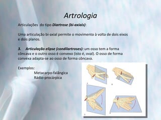 Artrologia Articulações  do tipo  Diartrose (bi-axiais) : Uma articulação bi-axial permite o movimento à volta de dois eixos e dois planos. 3.  Articulação elipse (condilartroses):  um osso tem a forma côncava e o outro osso é convexo (isto é, oval). O osso de forma convexa adapta-se ao osso de forma côncava. Exemplos: Metacarpo-falângica Rádio-procárpica 