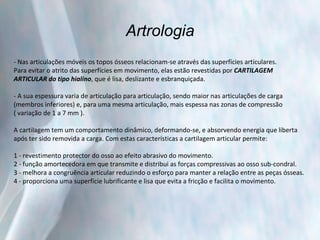 Artrologia - Nas articulações móveis os topos ósseos relacionam-se através das superfícies articulares.  Para evitar o atrito das superfícies em movimento, elas estão revestidas por  CARTILAGEM  ARTICULAR do tipo hialino , que é lisa, deslizante e esbranquiçada.  - A sua espessura varia de articulação para articulação, sendo maior nas articulações de carga  (membros inferiores) e, para uma mesma articulação, mais espessa nas zonas de compressão  ( variação de 1 a 7 mm ).   A cartilagem tem um comportamento dinâmico, deformando-se, e absorvendo energia que liberta  após ter sido removida a carga. Com estas características a cartilagem articular permite: 1 - revestimento protector do osso ao efeito abrasivo do movimento. 2 - função amortecedora em que transmite e distribui as forças compressivas ao osso sub-condral. 3 - melhora a congruência articular reduzindo o esforço para manter a relação entre as peças ósseas. 4 - proporciona uma superfície lubrificante e lisa que evita a fricção e facilita o movimento. 