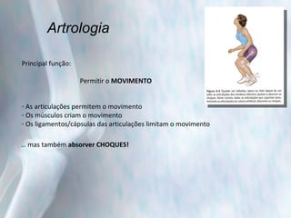 Artrologia Principal função: Permitir o  MOVIMENTO As articulações permitem o movimento Os músculos criam o movimento Os ligamentos/cápsulas das articulações limitam o movimento …  mas também  absorver CHOQUES!  