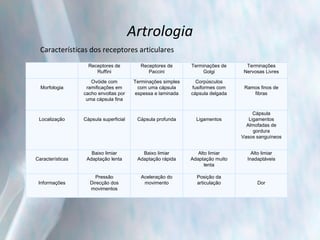 Artrologia Características dos receptores articulares Receptores de Ruffini Receptores de Paccini Terminações de Golgi Terminações Nervosas Livres Morfologia Ovóide com ramificações em cacho envoltas por uma cápsula fina Terminações simples com uma cápsula espessa e laminada Corpúsculos fusiformes com cápsula delgada Ramos finos de fibras Localização Cápsula superficial Cápsula profunda Ligamentos Cápsula Ligamentos Almofadas de gordura Vasos sanguíneos Características Baixo limiar Adaptação lenta Baixo limiar Adaptação rápida Alto limiar Adaptação muito lenta Alto limiar Inadaptáveis Informações Pressão Direcção dos movimentos Aceleração do movimento Posição da articulação Dor 