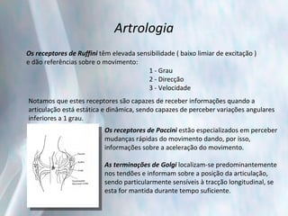 Artrologia   Os receptores de Ruffini  têm elevada sensibilidade ( baixo limiar de excitação )  e dão referências sobre o movimento:   1 - Grau   2 - Direcção   3 - Velocidade Notamos que estes receptores são capazes de receber informações quando a  articulação está estática e dinâmica, sendo capazes de perceber variações angulares  inferiores a 1 grau. Os receptores de Paccini   estão especializados em perceber mudanças rápidas do movimento dando, por isso,  informações sobre a aceleração do movimento.   As terminações de Golgi   localizam-se predominantemente  nos tendões e informam sobre a posição da articulação,  sendo particularmente sensíveis à tracção longitudinal, se  esta for mantida durante tempo suficiente. 