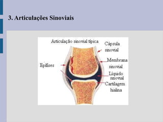 3. Articulações Sinoviais
 