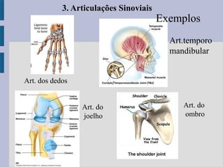 3. Articulações Sinoviais
Exemplos
Art.temporo
mandibular
Art. do
ombro
Art. do
joelho
Art. dos dedos
 