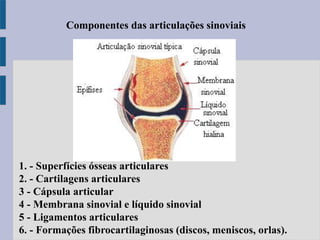 1. - Superfícies ósseas articulares
2. - Cartilagens articulares
3 - Cápsula articular
4 - Membrana sinovial e líquido sinovial
5 - Ligamentos articulares
6. - Formações fibrocartilaginosas (discos, meniscos, orlas).
Componentes das articulações sinoviais
 