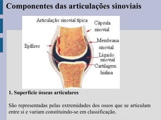 1. Superfície ósseas articulares
São representadas pelas extremidades dos ossos que se articulam
entre si e variam constituindo-se em classificação.
Componentes das articulações sinoviais
 