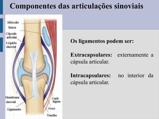 Os ligamentos podem ser:
Extracapsulares: externamente a
cápsula articular.
Intracapsulares: no interior da
cápsula articular.
Componentes das articulações sinoviais
 