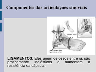 LIGAMENTOS. Eles unem os ossos entre si, são
praticamente inelásticos e aumentam a
resistência da cápsula.
Componentes das articulações sinoviais
 