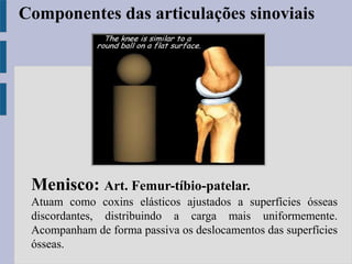 Menisco: Art. Femur-tíbio-patelar.
Atuam como coxins elásticos ajustados a superfícies ósseas
discordantes, distribuindo a carga mais uniformemente.
Acompanham de forma passiva os deslocamentos das superfícies
ósseas.
Componentes das articulações sinoviais
 