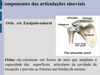 Orla. Art. Escápulo-umeral
Orlas: são estruturas em forma de anel que ampliam a
capacidade das superfícies articulares da cavidade de
recepção e previne as fraturas nas bordas da mesma.
Componentes das articulações sinoviais
 