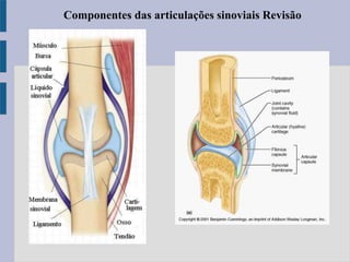 Componentes das articulações sinoviais Revisão
 
