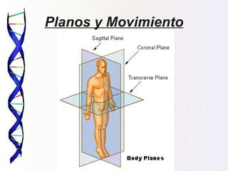 Planos y Movimiento
 