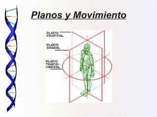 Planos y Movimiento
 