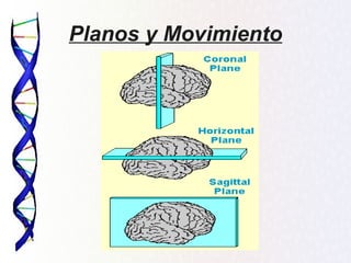 Planos y Movimiento
 
