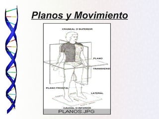 Planos y Movimiento
 