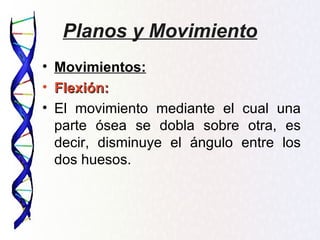 Planos y Movimiento
• Movimientos:
• Flexión:
• El movimiento mediante el cual una
  parte ósea se dobla sobre otra, es
  decir, disminuye el ángulo entre los
  dos huesos.
 
