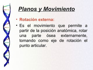 Planos y Movimiento
• Rotación externa:
• Es el movimiento que permite a
  partir de la posición anatómica, rotar
  una parte ósea externamente,
  tomando como eje de rotación el
  punto articular.
 