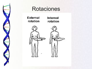Rotaciones
 