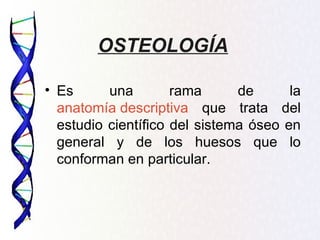 OSTEOLOGÍA

• Es      una        rama      de      la
  anatomía descriptiva que trata del
  estudio científico del sistema óseo en
  general y de los huesos que lo
  conforman en particular.
 