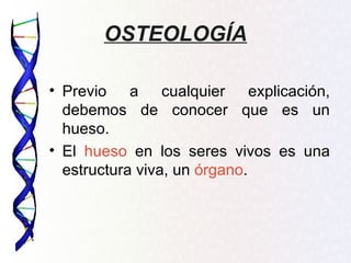 OSTEOLOGÍA

• Previo a cualquier explicación,
  debemos de conocer que es un
  hueso.
• El hueso en los seres vivos es una
  estructura viva, un órgano.
 